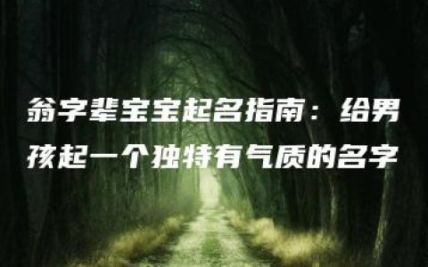 翁字辈宝宝起名指南：给男孩起一个独特有气质的名字