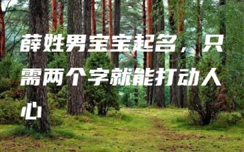 薛姓男宝宝起名，只需两个字就能打动人心