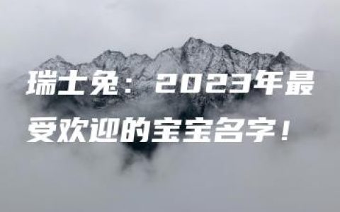 瑞士兔：2023年最受欢迎的宝宝名字！