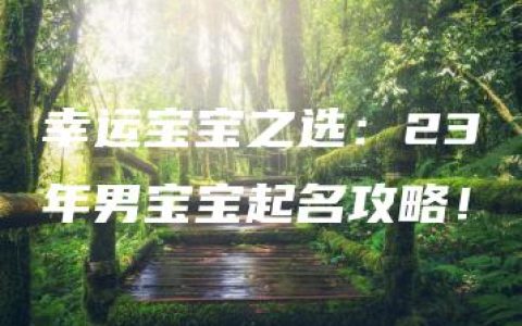 幸运宝宝之选：23年男宝宝起名攻略！