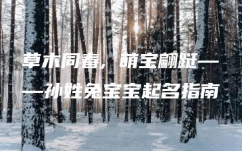 草木同春, 萌宝翩跹——孙姓兔宝宝起名指南