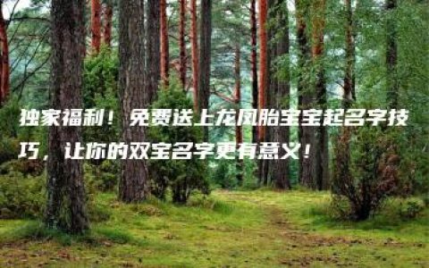 独家福利！免费送上龙凤胎宝宝起名字技巧，让你的双宝名字更有意义！