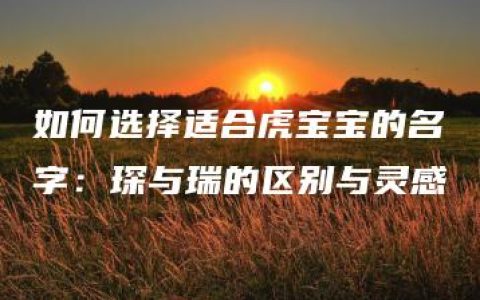 如何选择适合虎宝宝的名字：琛与瑞的区别与灵感