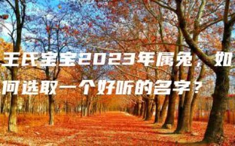 王氏宝宝2023年属兔，如何选取一个好听的名字？