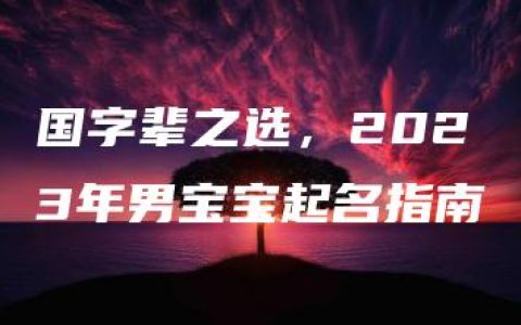 国字辈之选，2023年男宝宝起名指南