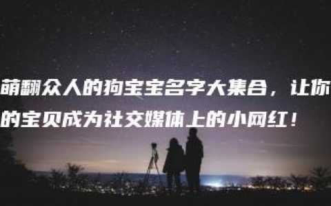 萌翻众人的狗宝宝名字大集合，让你的宝贝成为社交媒体上的小网红！