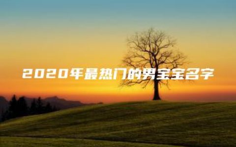 2020年最热门的男宝宝名字