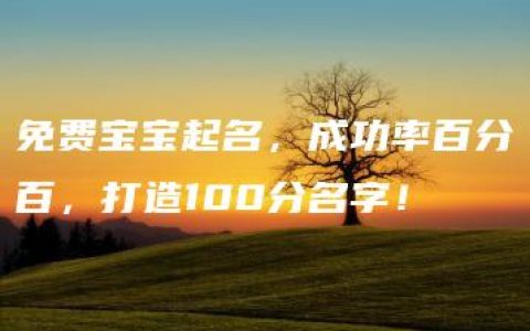 免费宝宝起名，成功率百分百，打造100分名字！