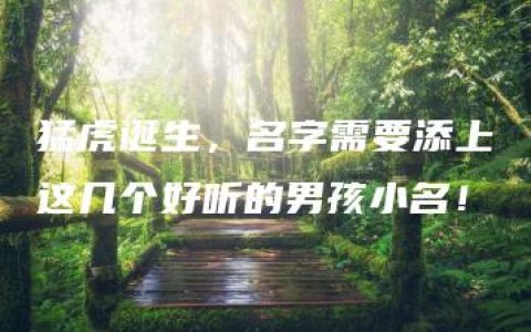 猛虎诞生，名字需要添上这几个好听的男孩小名！