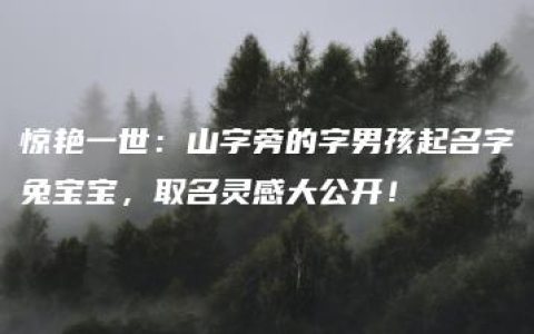 惊艳一世：山字旁的字男孩起名字兔宝宝，取名灵感大公开！