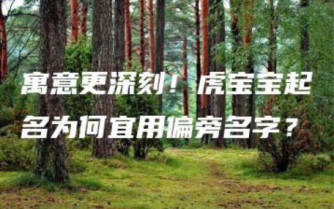 寓意更深刻！虎宝宝起名为何宜用偏旁名字？