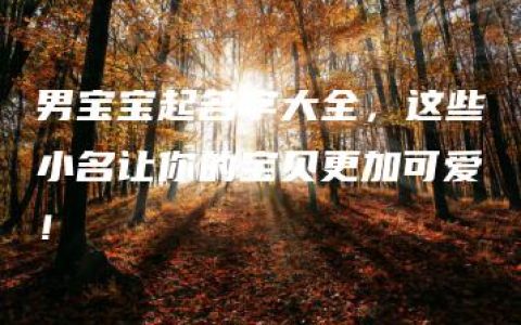 男宝宝起名字大全，这些小名让你的宝贝更加可爱！