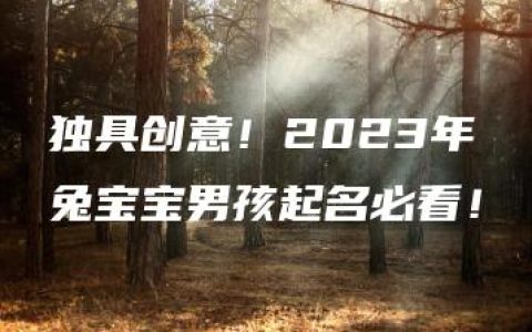 独具创意！2023年兔宝宝男孩起名必看！