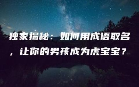 独家揭秘：如何用成语取名，让你的男孩成为虎宝宝？