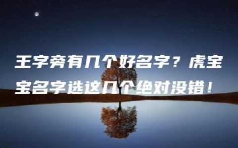 王字旁有几个好名字？虎宝宝名字选这几个绝对没错！