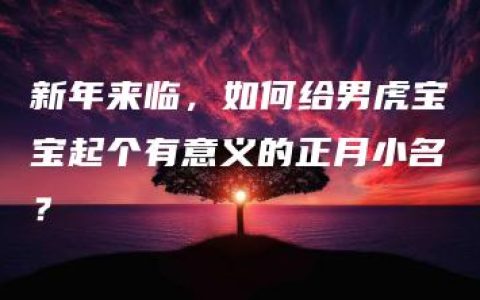 新年来临，如何给男虎宝宝起个有意义的正月小名？