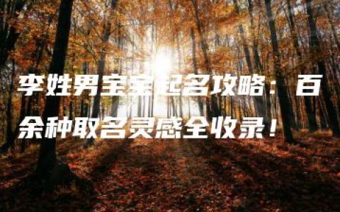 李姓男宝宝起名攻略：百余种取名灵感全收录！