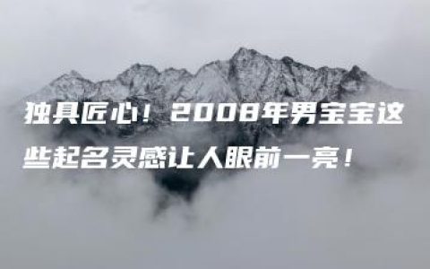 独具匠心！2008年男宝宝这些起名灵感让人眼前一亮！