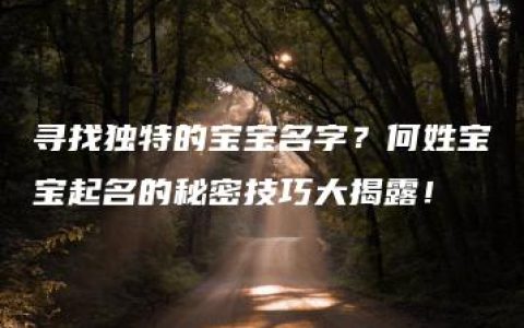 寻找独特的宝宝名字？何姓宝宝起名的秘密技巧大揭露！