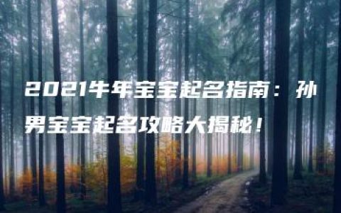 2021牛年宝宝起名指南：孙男宝宝起名攻略大揭秘！