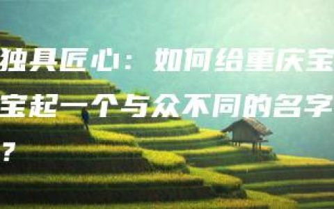 独具匠心：如何给重庆宝宝起一个与众不同的名字？