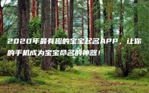 2020年最有趣的宝宝起名APP，让你的手机成为宝宝命名的神器！