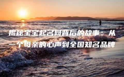 揭秘宝宝起名网背后的故事：从一个母亲的心声到全国知名品牌