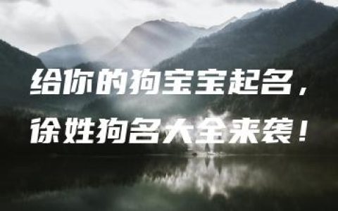 给你的狗宝宝起名，徐姓狗名大全来袭！