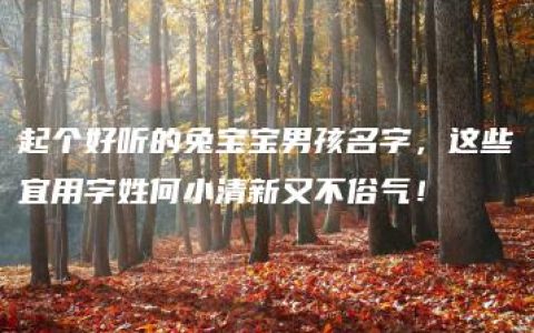 起个好听的兔宝宝男孩名字，这些宜用字姓何小清新又不俗气！