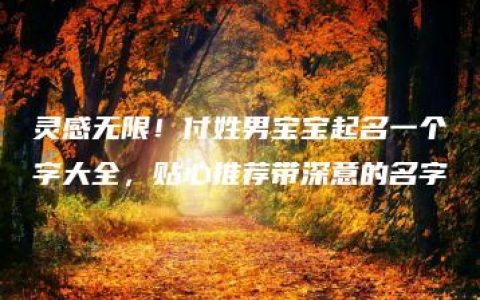 灵感无限！付姓男宝宝起名一个字大全，贴心推荐带深意的名字