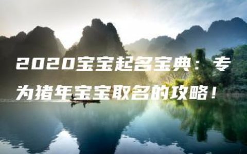 2020宝宝起名宝典：专为猪年宝宝取名的攻略！