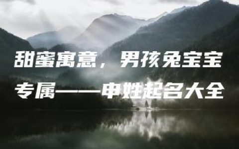 甜蜜寓意，男孩兔宝宝专属——申姓起名大全