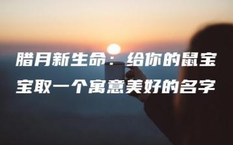 腊月新生命：给你的鼠宝宝取一个寓意美好的名字