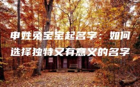 申姓兔宝宝起名字：如何选择独特又有意义的名字