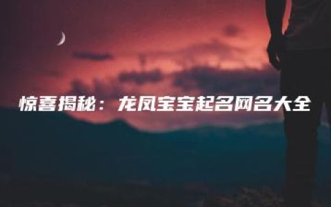 惊喜揭秘：龙凤宝宝起名网名大全