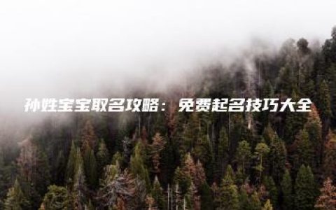 孙姓宝宝取名攻略：免费起名技巧大全