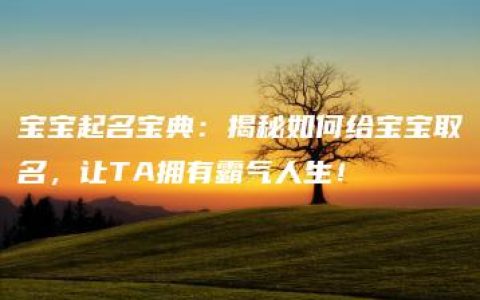 宝宝起名宝典：揭秘如何给宝宝取名，让TA拥有霸气人生！