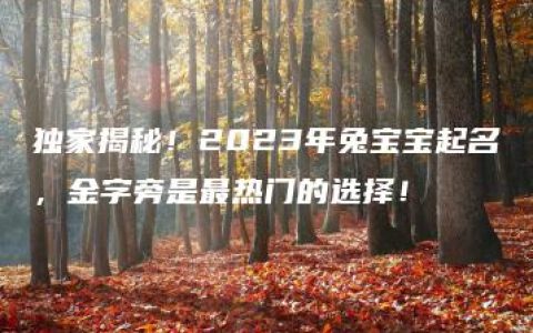 独家揭秘！2023年兔宝宝起名，金字旁是最热门的选择！