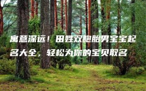 寓意深远！田姓双胞胎男宝宝起名大全，轻松为你的宝贝取名