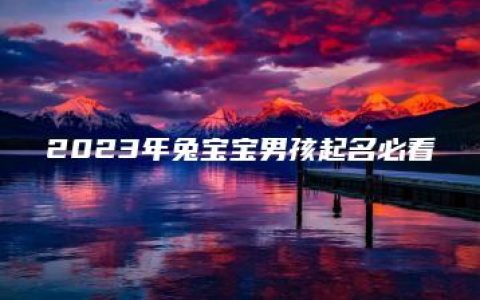 2023年兔宝宝男孩起名必看