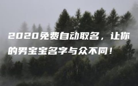 2020免费自动取名，让你的男宝宝名字与众不同！