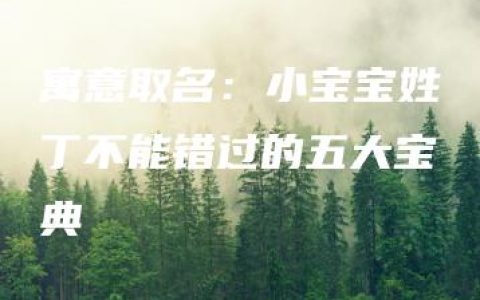 寓意取名：小宝宝姓丁不能错过的五大宝典