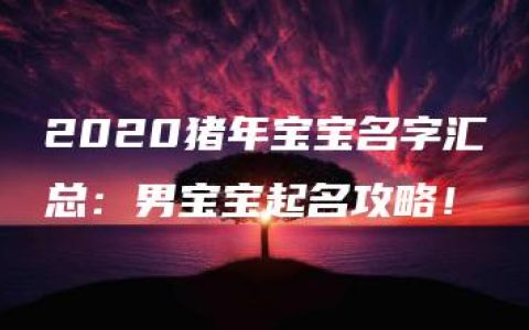 2020猪年宝宝名字汇总：男宝宝起名攻略！