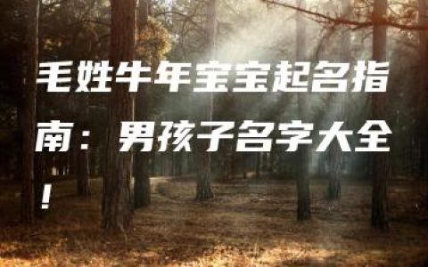 毛姓牛年宝宝起名指南：男孩子名字大全！