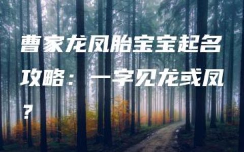 曹家龙凤胎宝宝起名攻略：一字见龙或凤？