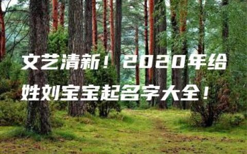 文艺清新！2020年给姓刘宝宝起名字大全！