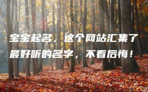 宝宝起名，这个网站汇集了最好听的名字，不看后悔！