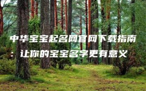 中华宝宝起名网官网下载指南：让你的宝宝名字更有意义