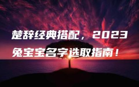 楚辞经典搭配，2023兔宝宝名字选取指南！