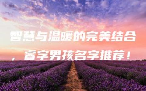 智慧与温暖的完美结合，睿字男孩名字推荐！